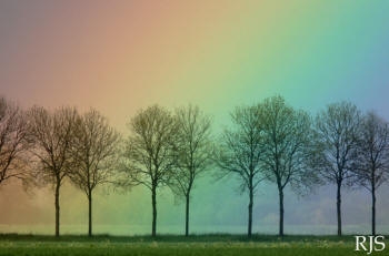 regenboog.jpg